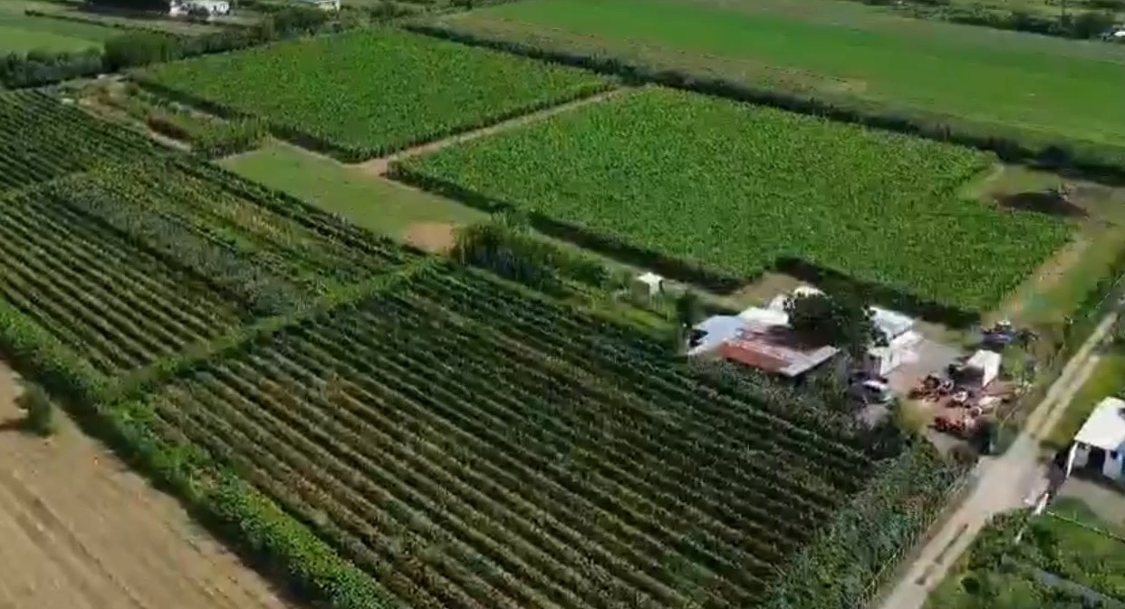 Agricultural Farm – Lezhë